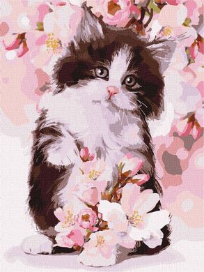 Картина по номерам "Пушистый котенок" Идейка холст на подрамнике 30х40см KHO4383 в интернет-магазине "Я - Picasso"