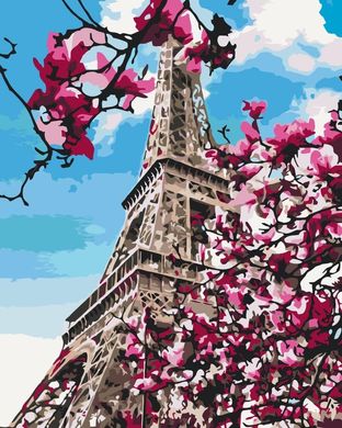 Картина по номерам - Цветение магнолий в Париже 40x50 в интернет-магазине "Я - Picasso"