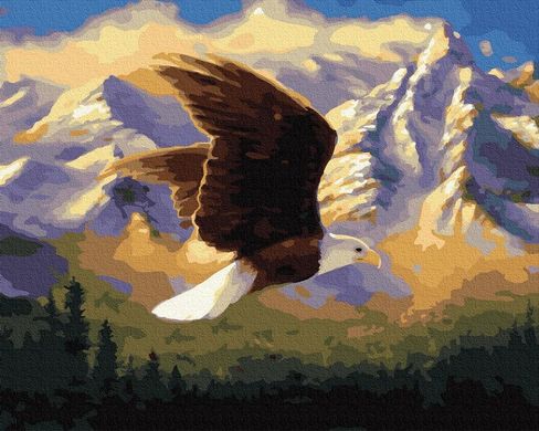 Картина по номерам - Горный орел 40х50 в интернет-магазине "Я - Picasso"