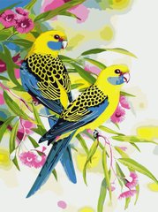 Картина за номерами "Папуги на гілці" ArtStory полотно на підрамнику 30x40см AS0783 в інтернет-магазині "Я - Picasso"