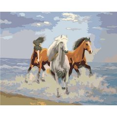 Картина за номерами "Свіжий вітер" Ідейка полотно на підрамнику 40x50см КНО2430 в інтернет-магазині "Я - Picasso"