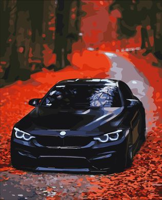 Картины по номерам "BMW" Artissimo холст на подрамнике 40x50 см PN9652 в интернет-магазине "Я - Picasso"