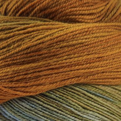 Пряжа WaterColor Sock/Ватерколор Сок, гірчичний-салатовий 203, Laines du Nord