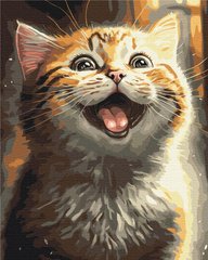 Картина за номерами "Натхненний котик. Маріанна Пащук" BrushMe полотно на підрамнику 40х50см BS53803 в інтернет-магазині "Я - Picasso"