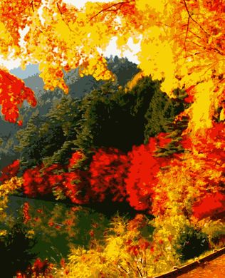 Картини за номерами "Яскрава осінь" Artissimo полотно на підрамнику 40x50 см PN0166 в інтернет-магазині "Я - Picasso"
