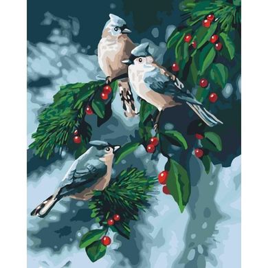 Картина по номерам - Зимние птички 40x50 см в интернет-магазине "Я - Picasso"