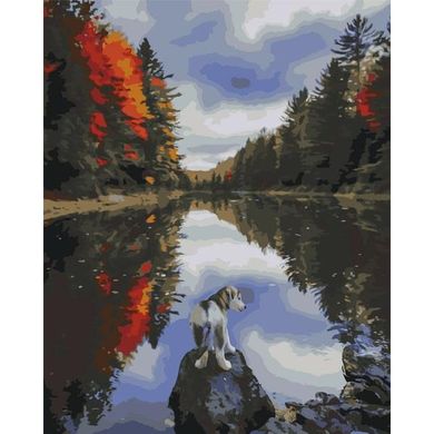 Картина по номерам "Собачка у озера" BrushMe холст на подрамнике 40x50см BS51425 в інтернет-магазині "Я - Picasso"