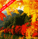 Картини за номерами "Яскрава осінь" Artissimo полотно на підрамнику 40x50 см PN0166