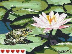 Картини за номерами "Жабка на реке" Барви полотно на підрамнику 40x50 см 0030Т1 в интернет-магазине "Я - Picasso"