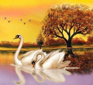 Алмазная мозаика "Лебеди на пруду" Алмазная мозаика 40x40см DM-259 в интернет-магазине "Я - Picasso"
