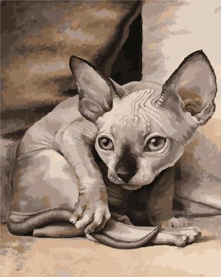 Картина за номерами "Екзотична кішка" ArtStory подарункова упаковка 40x50см AS1027 в інтернет-магазині "Я - Picasso"