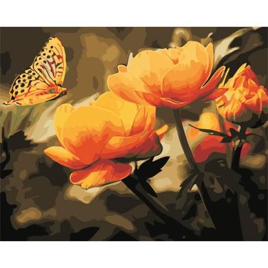 Картина за номерами " Жовті квіти" ArtStory в подарунковій коробці 50х40см AS0351 в інтернет-магазині "Я - Picasso"