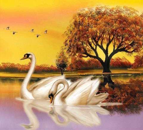 «Лебеди на пруду»