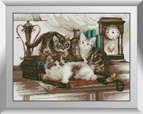 Алмазна мозаїка "Кошенята в бібліотеці" Dream Art в коробці 31628 в інтернет-магазині "Я - Picasso"