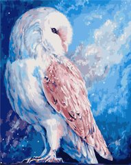 Картина за номерами "Біла сова" ArtStory подарункова упаковка 40x50см AS1022 в інтернет-магазині "Я - Picasso"