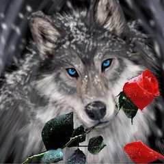Алмазная мозаика "Волк с розой" Алмазная мозаика 40x40см DM-272 в интернет-магазине "Я - Picasso"