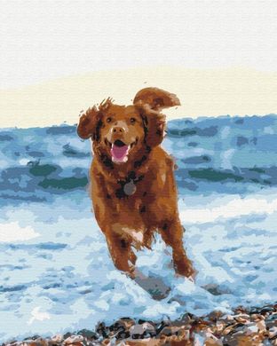 Картина по номерам - Собачка в море в интернет-магазине "Я - Picasso"