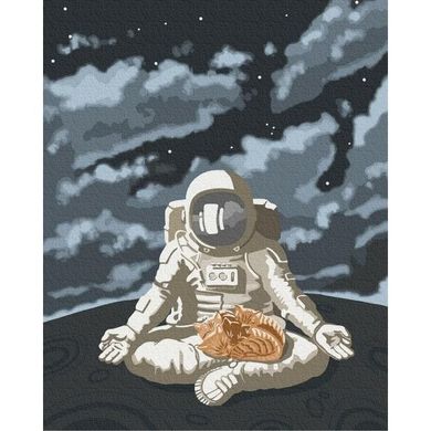 Картина за номерами "Космічний спокій" BrushMe полотно на підрамнику 40х50см GX39760 в інтернет-магазині "Я - Picasso"