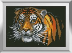 Алмазна мозаїка "Тигр" Dream Art в коробці 31257 в інтернет-магазині "Я - Picasso"