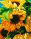 Картини за номерами "Яскраві соняшники" Artissimo полотно на підрамнику 40x50 см PN2012