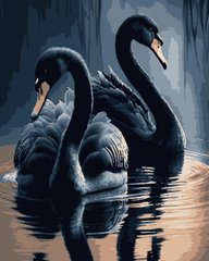 Картини за номерами "Чорні лебеді" Artissimo полотно на підрамнику 40x50 см PN0745 в інтернет-магазині "Я - Picasso"