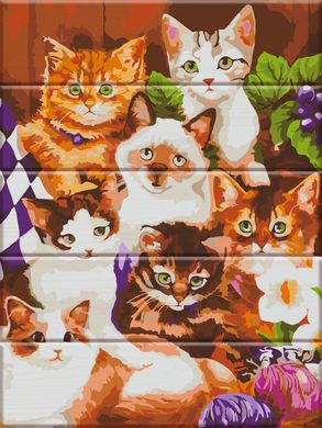 Картина за номерами на дереві "Кошенята" ArtStory подарункова упаковка 30x40см ASW017 в інтернет-магазині "Я - Picasso"
