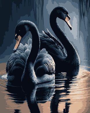 Картини за номерами "Чорні лебеді" Artissimo полотно на підрамнику 40x50 см PN0745 в інтернет-магазині "Я - Picasso"