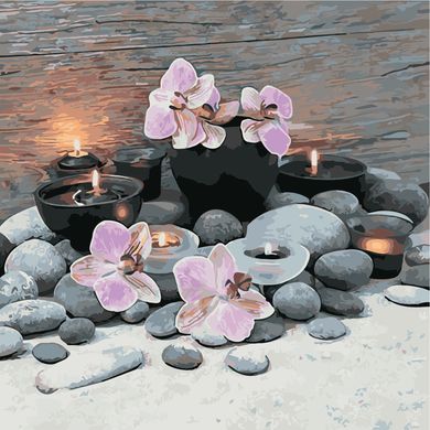 Картина по номерам - Розовые орхидеи 40x40см в интернет-магазине "Я - Picasso"