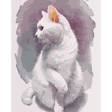 Картины по номерам - Нежный кот 40х50 в интернет-магазине "Я - Picasso"