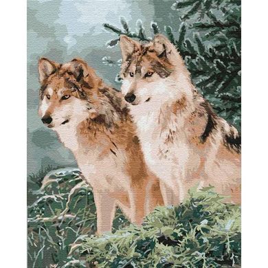 Картина за номерами "Вовчий погляд" Ідейка полотно на підрамнику 40x50см КНО4191 в інтернет-магазині "Я - Picasso"
