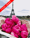 Картини за номерами "Париж, півонії" Artissimo полотно на підрамнику 40x50 см PN6780