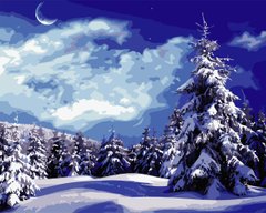 Картина за номерами "Красива зима" ArtStory подарункова упаковка 40x50см AS0706 в інтернет-магазині "Я - Picasso"