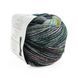 Пряжа Paint Gradient Sock/Пейнт Градієнт Сок, зелено-вишневий мультіколор 10, Laines du Nord