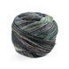 Пряжа Paint Gradient Sock/Пейнт Градієнт Сок, зелено-вишневий мультіколор 10, Laines du Nord