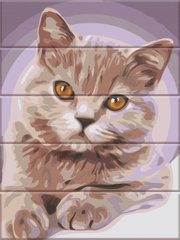Картина за номерами на дереві "Котик" ArtStory подарункова упаковка 30x40см ASW150 в інтернет-магазині "Я - Picasso"