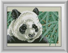 Алмазна мозаїка "Панда в бамбуковому гаю" Dream Art в коробці 30374 в інтернет-магазині "Я - Picasso"