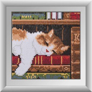Котенок на книжной полке. Dream Art. Набор алмазной живописи 17x17 см в интернет-магазине "Я - Picasso"