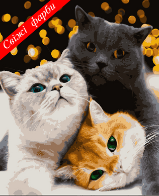 Картини за номерами "Котики-муркотики" Artissimo полотно на підрамнику 50x60 см PNХ4200 в інтернет-магазині "Я - Picasso"