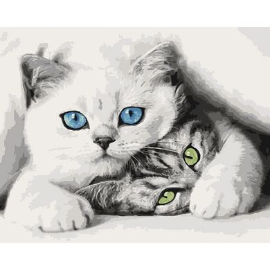 Картина за номерами "Кошенята" Ідейка полотно на підрамнику 40x50см КНО4098 в інтернет-магазині "Я - Picasso"