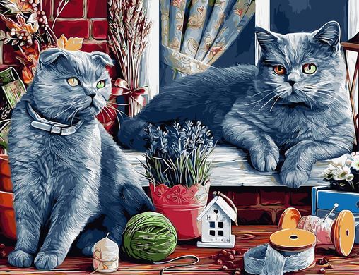 Картина по номерам - Британские коты 50x65см в интернет-магазине "Я - Picasso"