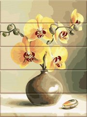 Картина по номерам на дереве - Орхидеи 30x40 см в интернет-магазине "Я - Picasso"