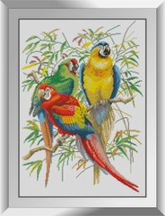 31130 Три попугая. Dream Art. Набор алмазной живописи (квадратные, полная) в интернет-магазине "Я - Picasso"