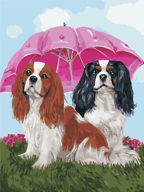 Картина по номерам - Щенки под зонтиком 30х40 в интернет-магазине "Я - Picasso"