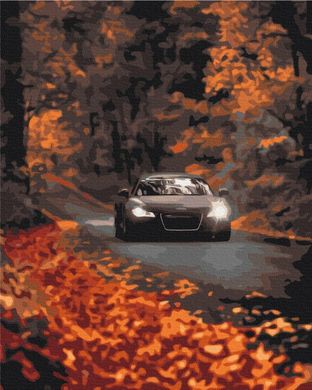 Картина по номерам "Осенняя дорога" BrushMe холст на подрамнике 40х50см BS53291 в интернет-магазине "Я - Picasso"