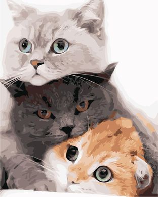 Картина за номерами "Котяче тріо" ArtStory подарункова упаковка 40x50см AS0882 в інтернет-магазині "Я - Picasso"