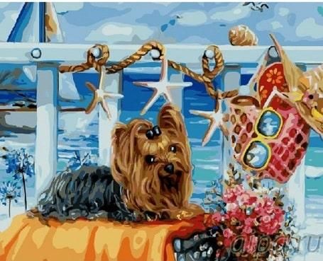 Картина за номерами "Йоркширський тер'єр на пляжі" BrushMe полотно на підрамнику 40х50см GX21473 в інтернет-магазині "Я - Picasso"