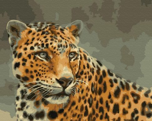 Картина за номерами "Леопард" BrushMe полотно на підрамнику 40x50см GX33731 в інтернет-магазині "Я - Picasso"