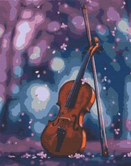 Картина по номерам "Симфонія" холст на подрамнике 40x50 см RB-0195 в інтернет-магазині "Я - Picasso"