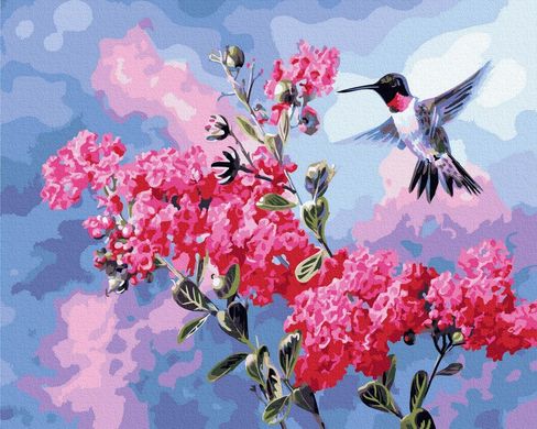 Картина по номерам "Колібрі у цвітінні" BrushMe холст на подрамнике 40x50см GX34869 в інтернет-магазині "Я - Picasso"