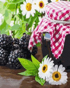 Картина за номерами "Ожинове варення" BrushMe полотно на підрамнику 40x50см GX34627 в інтернет-магазині "Я - Picasso"